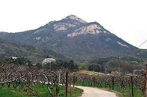 불암산