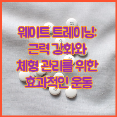 웨이트 트레이닝: 근력 강화와 체형 관리를 위한 효과적인 운동