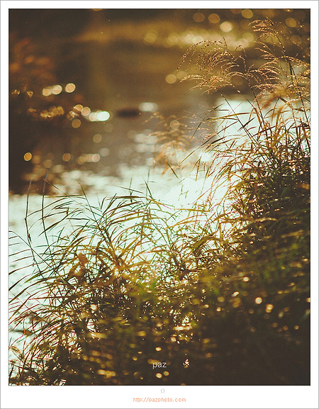 [Canon 5D] 가을 햇살
