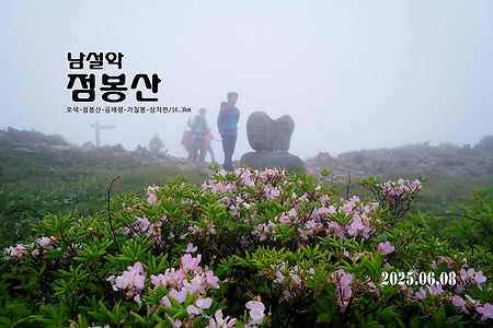 【25.06.08(일)】27.점봉산