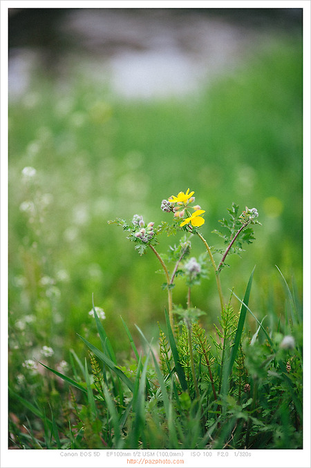 [Canon 5D] 처음엔 사진이란게