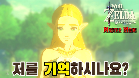 젤다의 전설 브레스 오브 더 와일드 WiiU 마스터모드 - 모든 기억 모음