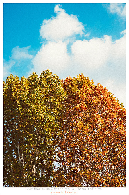 가을 풍경의 시작 (니콘 d700)