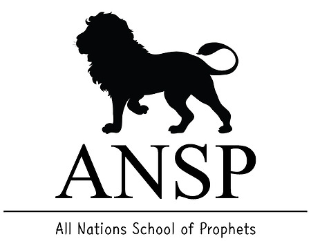 ANSP 프로젝트