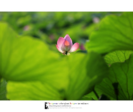 바람