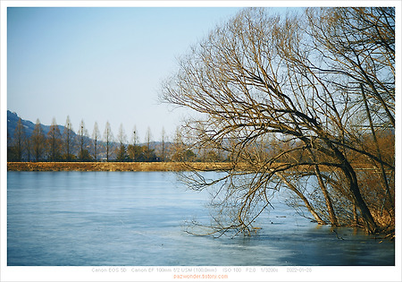 [Canon 5D] 파란색 산책