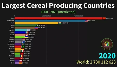 전 세계 식량 생산량 순위