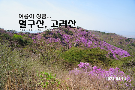 【24.04.14(일)】18.여름이 성큼... 혈구산-고려산 진달래