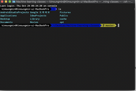 [Mac OS] 카탈리나 업데이트 이후 Terminal ZSH 테마 설정하기
