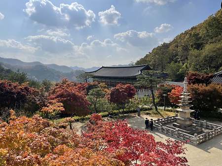 충주 석종사, 중앙탑공원 관광~