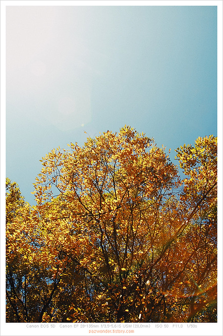 완연한 가을 날씨 (캐논 5D)