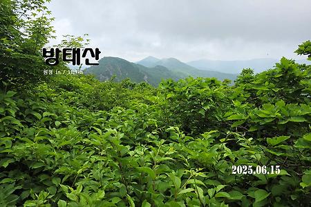 【25.06.15(일)】방태산