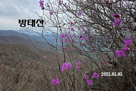 【25.05.05(월)】21.방태산
