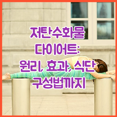 저탄수화물 다이어트: 원리, 효과, 식단 구성법까지