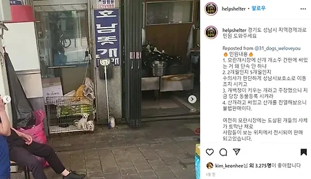 김건희 '반려동물 성남민원폭탄 SNS글 공유'가 큰 사건인 이유