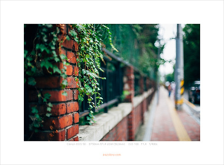 이촌 한강 시민 공원 (Canon 5D)