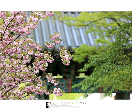 서산 산책