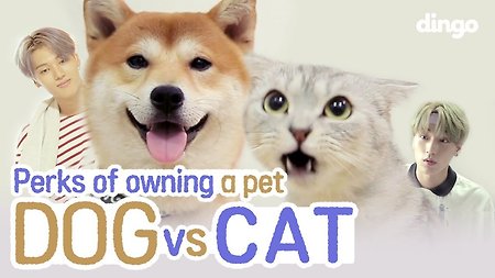Are You a Dog Person? Or a Cat Person?(Feat. ATEEZ) • ENG SUB • Dingo Kbeauty