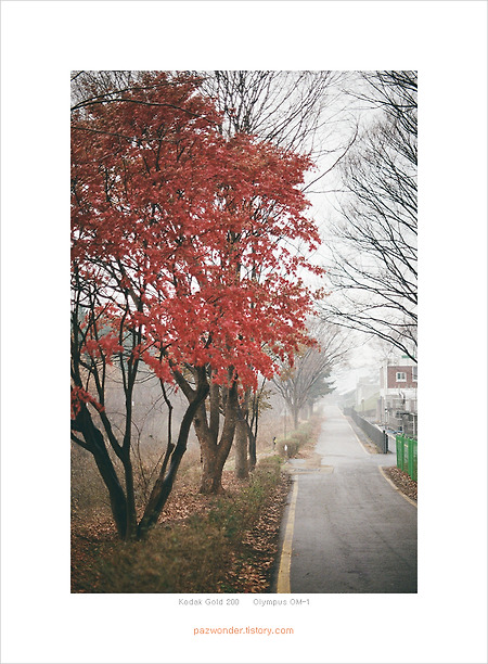 한 롤 이야기 (Kodak Gold 200)