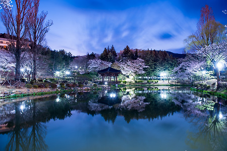 경주 보문정의 아침~