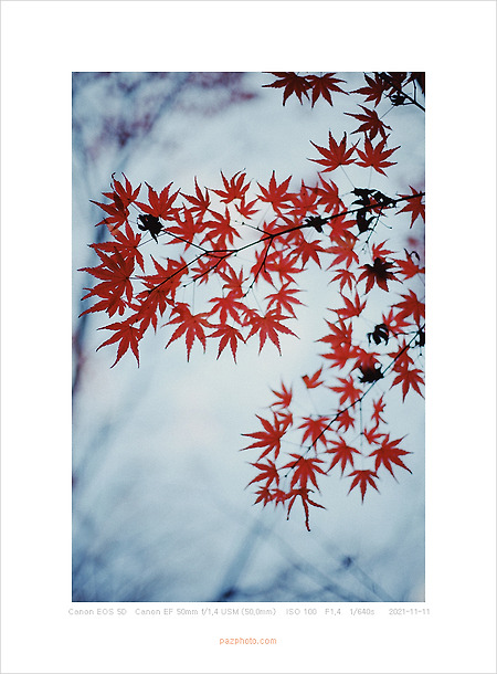 [Canon 5D] Nice Camera!