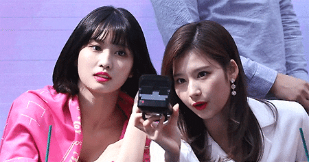 모모와 사나