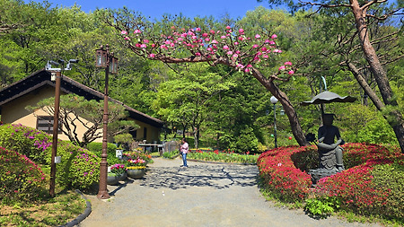 이른 철쭉 - 진천 보탑사/만뢰산 생태공원