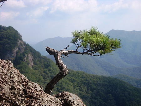 아기자기한 완주 대부산