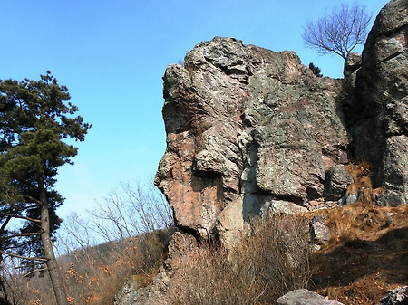 2011년 사람 형태 모음