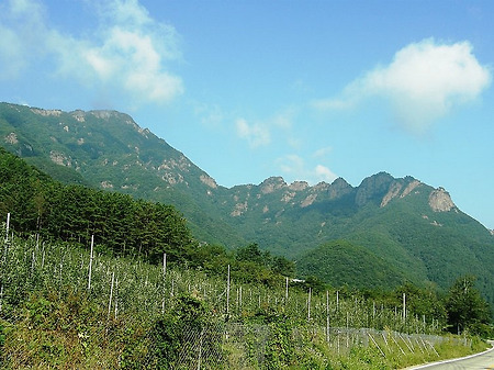 아홉바위봉우리의 조화 진안 구봉산