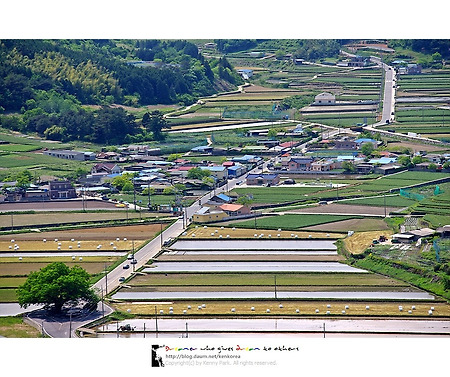 길(路)에게 묻다