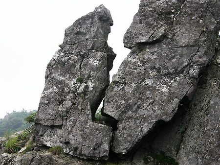 담양 병풍산 우중산행