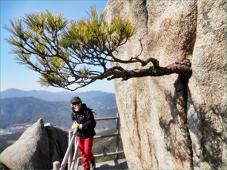 아기자기한 바위가 아름다운 홍성 용봉산.