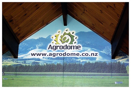 #3-2 Animal land New Zealand