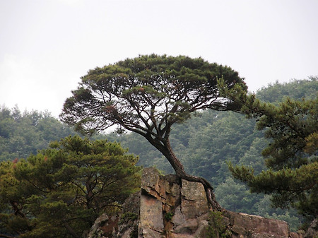 강물속의 섬 진안 섬바위