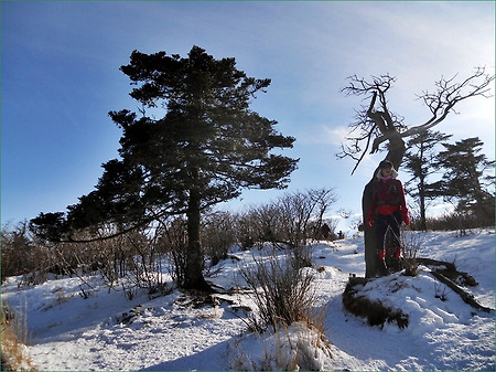 태백산, 여유있게 돌아본 민족의 靈山