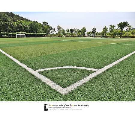 꿈나무 양성소