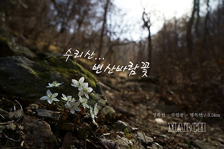 【15.03.22(일)】15.수리산 변산바람꽃