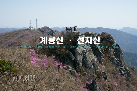 【14.04.06(일)】19.거제 계룡산 - 선자산