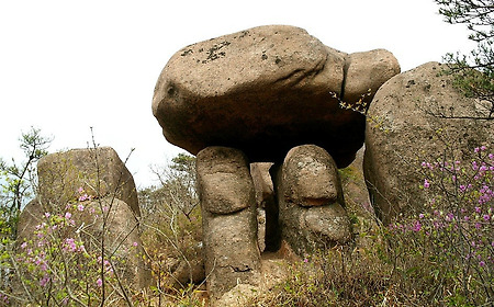 2013년 특이형태 자연사진 모음
