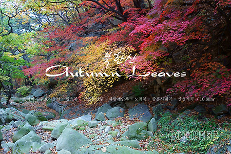 【14.10.26(일)】53.북한산 Autumn Leaves