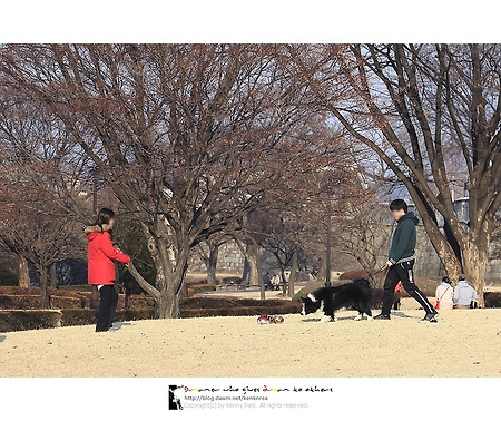[PJ Kenny] Rani님 신청곡, sophie zelmani-memory loves you