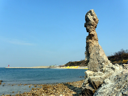 2012년 사람 닮은 자연사진 모음