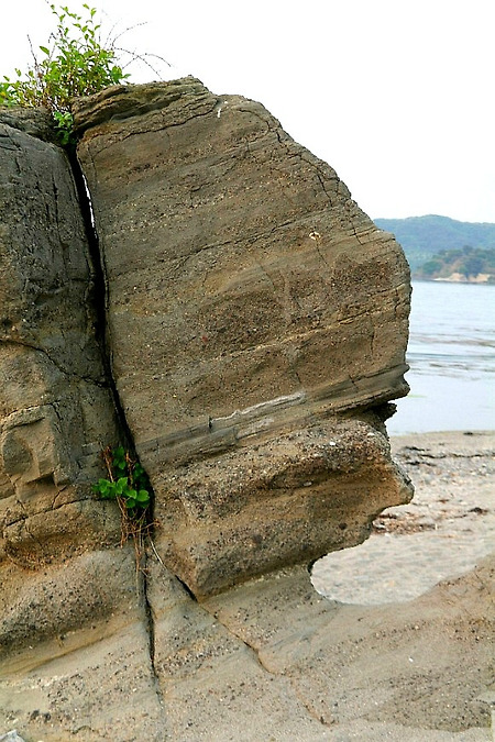 2013년 사람닮은 자연사진 모음