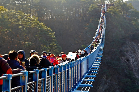 요즘 숙제.. 원주 소금산출렁다리