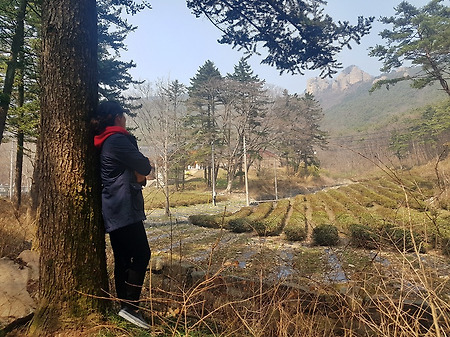 개암사에 아직 봄이 오지 않았구나...!