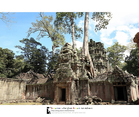 타프롬