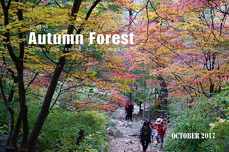 【17.10.22(일)】56.Autumn Forest of 북한산
