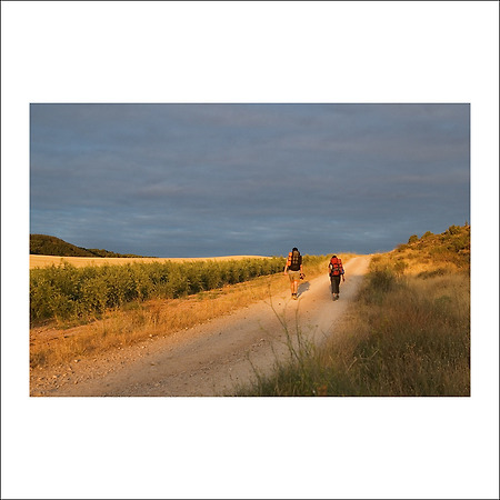 camino de santiago -15-