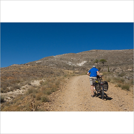camino de santiago -50-